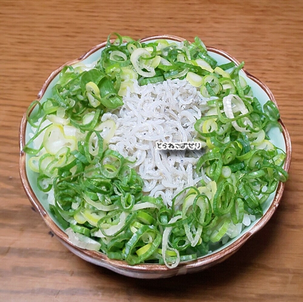 子供作(⁠◍⁠•⁠ᴗ⁠•⁠◍⁠)しらすねぎ丼