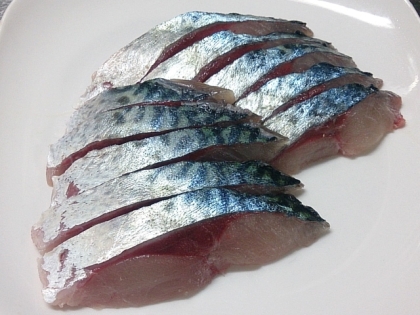 鯖が釣れる季節がやってきました。
釣ったその日にお刺身で。
ブリブリでとてもおいしかったです。