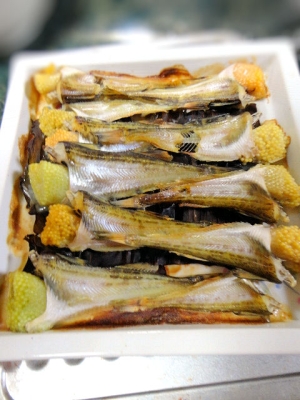 子持ちハタハタの昆布酒蒸し レシピ 作り方 By すいかサマ 楽天レシピ 子持ちハタハタの昆布酒蒸し レシピ 作り方 By すいかサマ 楽天レシピ