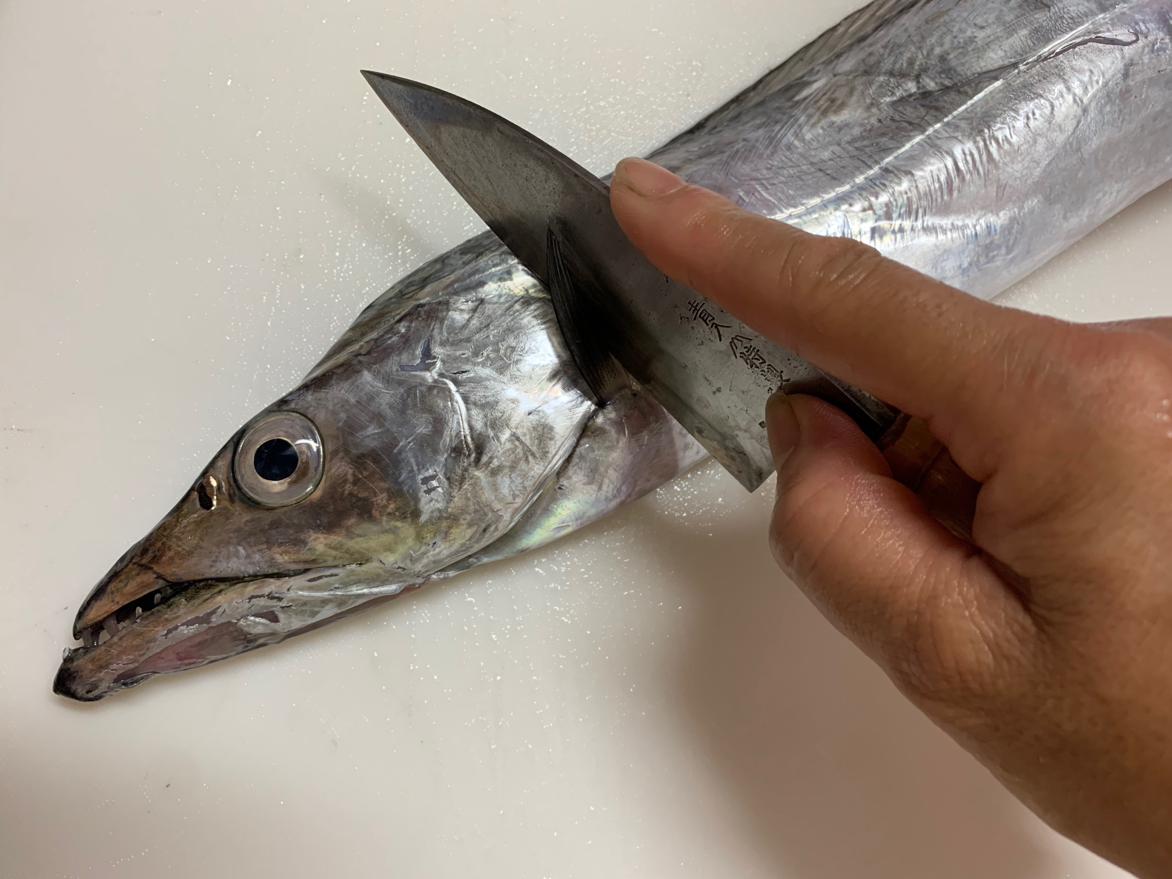 タチウオの捌き方 ぶつ切り調理用 レシピ 作り方 By 魚魚まんま 楽天レシピ