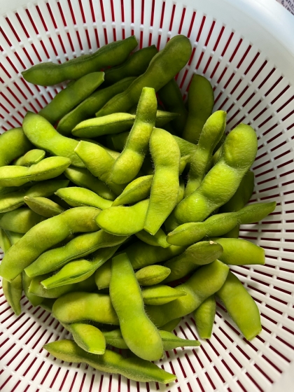 冷凍枝豆が多かった為頂き物の枝豆を久々に茹でるの探していたところこちらのレシピに目が留まり参考にさせていただきました！美味しくできました！ありがとうございます！