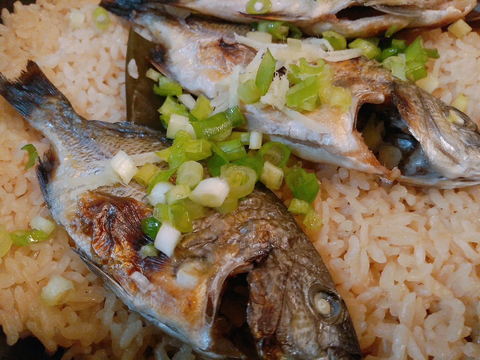 絶品 黒鯛はこれ 土鍋でチヌ飯 鯛めし レシピ 作り方 By 栄養士 まぼmama 楽天レシピ 絶品 黒鯛はこれ 土鍋でチヌ飯 鯛めし レシピ 作り方 By 栄養士 まぼmama 楽天レシピ