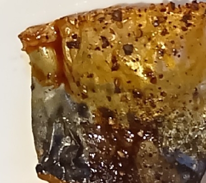 麹味噌漬けの鰆（グリル焼きで）