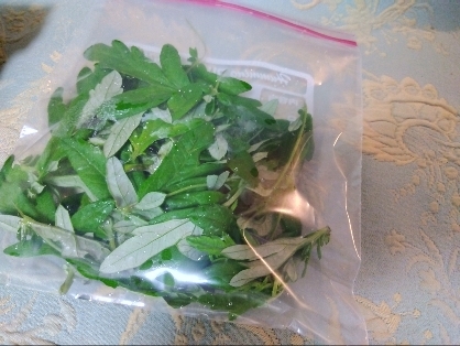 ニラの美味しい切り方と冷凍保存✧˖°