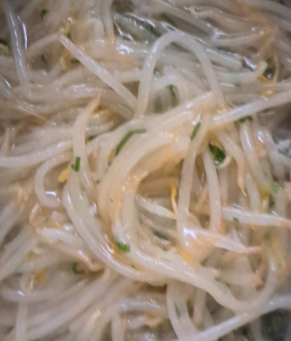 とろとろもやし♪