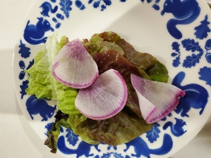 紫玉ねぎとレタスのサラダ