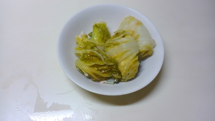 白菜で巻き巻き♪ヘルシー餃子(o^^o)