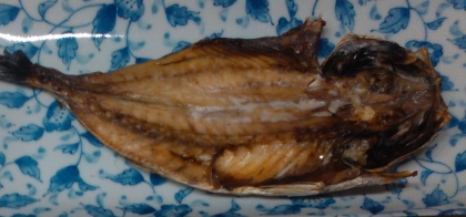 焼き魚　あじの開き