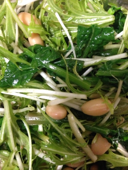 さっぱりヘルシー♬大豆＆ほうれん草＆水菜のサラダ