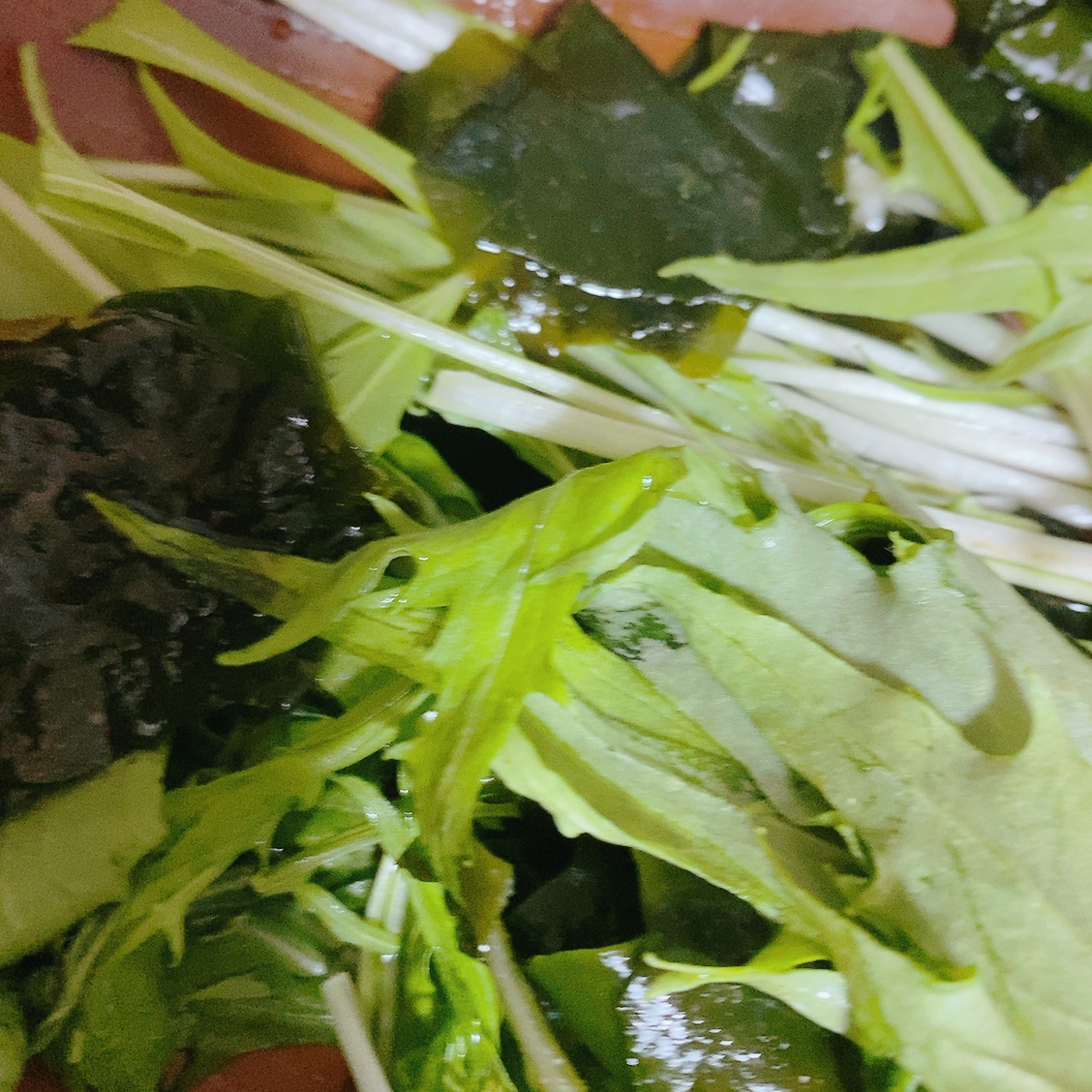 海藻と水菜のサラダ♡簡単♡節約レシピ