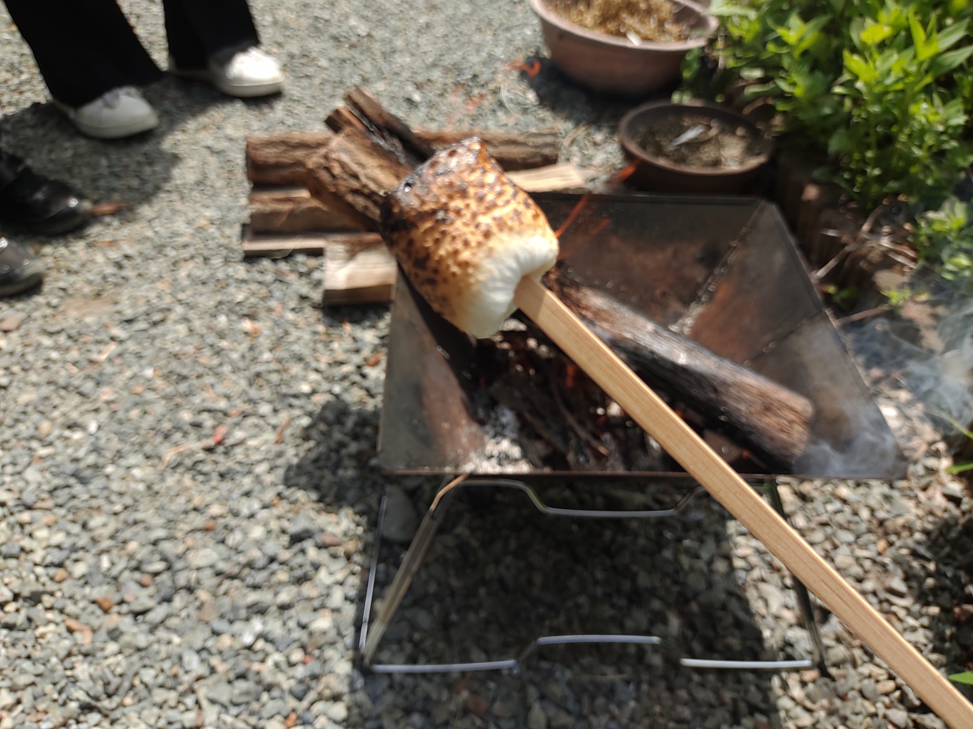 キャンプで焼きマシュマロ