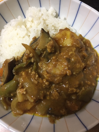 なすとじゃがいもと玉ねぎトマトキーマカレー