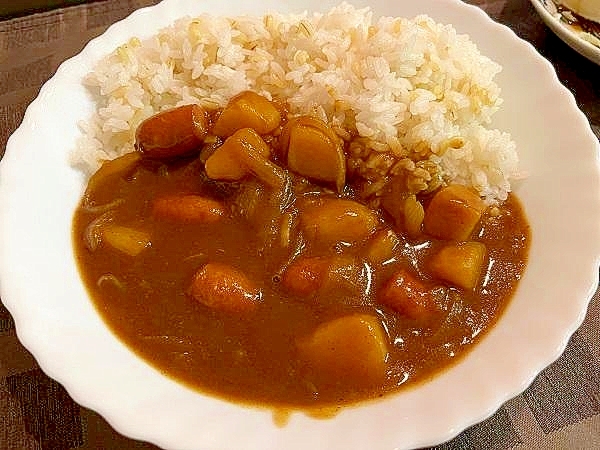 キャンプめしの定番！ウィンナーごろごろ炒めカレー