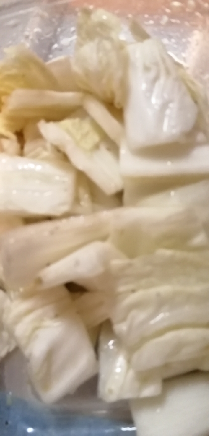 白菜の生姜酢漬け