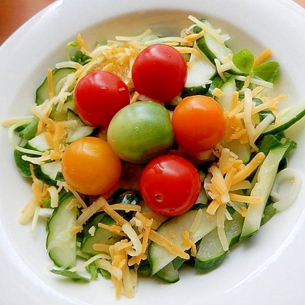 6分デリ！？早生ミカン❤カラートマトの簡単サラダ♪ レシピ・作り方