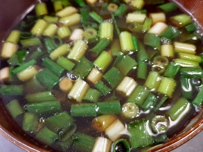 めんつゆで♪ねぎ好きの絶品つけ麺