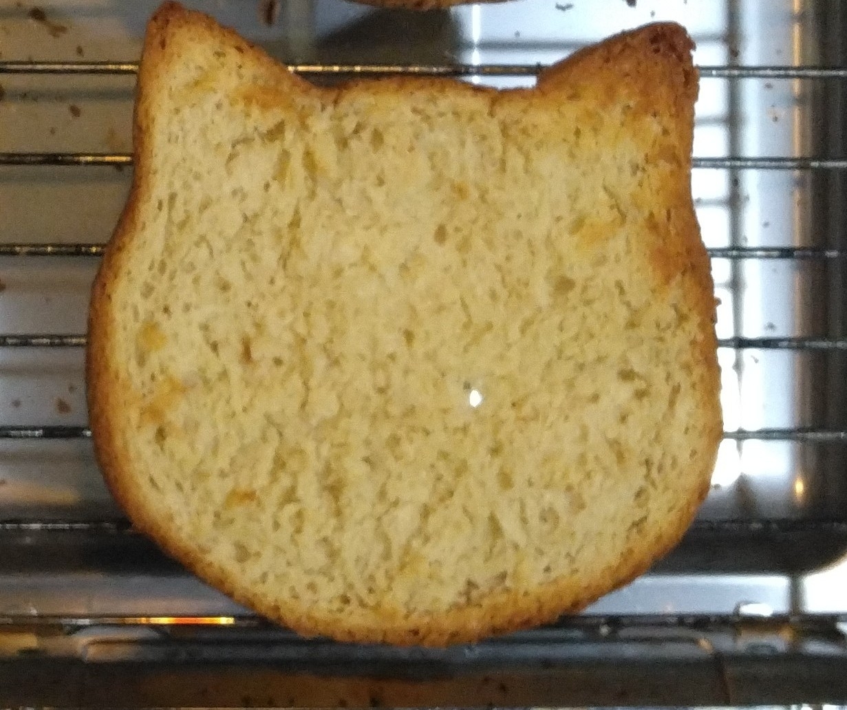 猫食パン