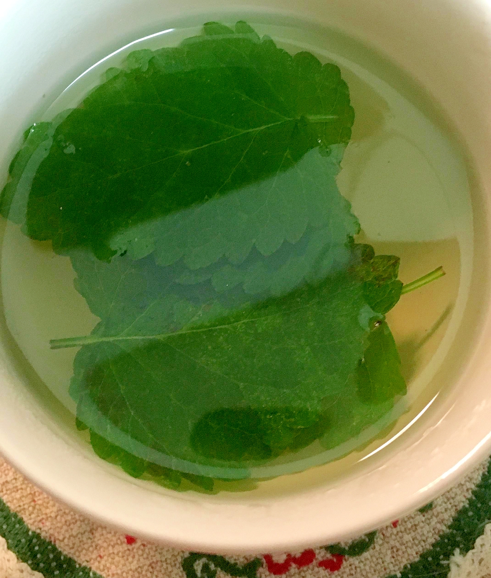 4ページ目 レモンバームレシピ 作り方の人気順 簡単料理の楽天レシピ 4ページ目 レモンバームレシピ 作り方の人気順 簡単料理の楽天レシピ