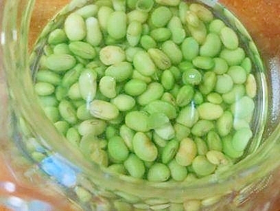 枝豆の　出汁びたし