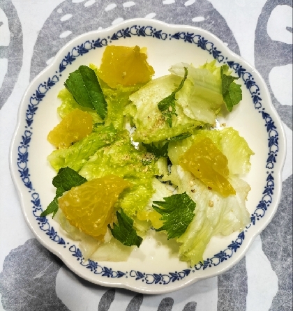甘夏サラダ˖✧˖°