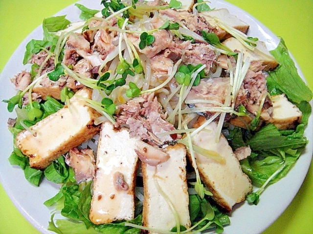 もやしと厚揚げサバ缶の中華サラダ レシピ 作り方 By Mint74 楽天レシピ