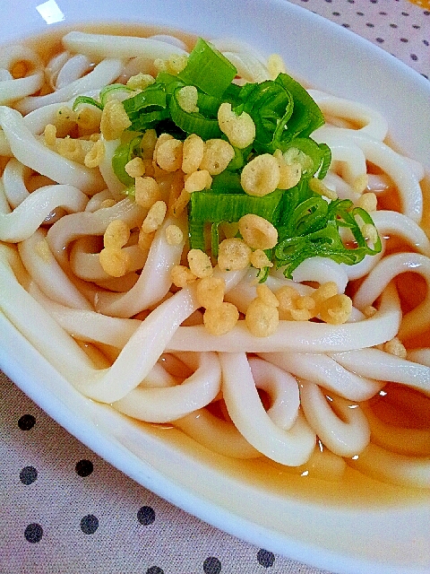 普通の冷たい✿かけうどん❤