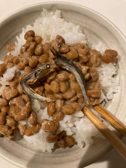 小魚納豆お粥