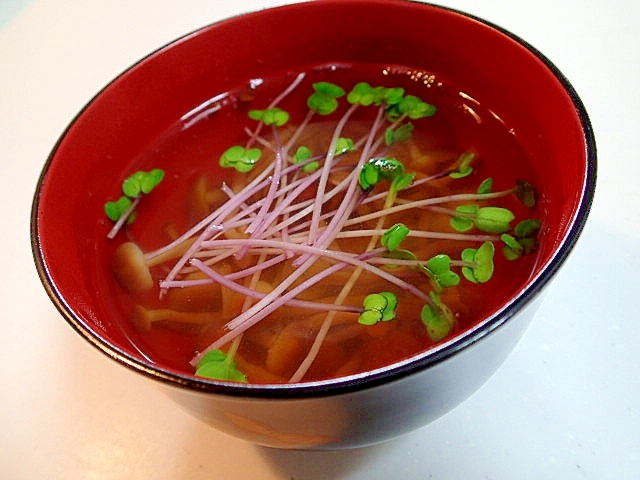 コラーゲン入　かきのき茸と紅かいわれ大根のお吸い物