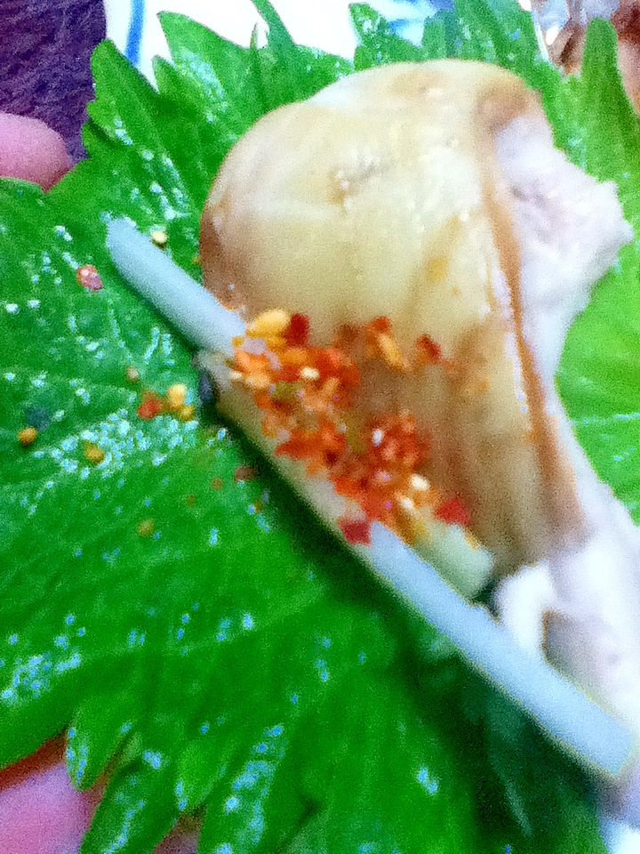 ニシンの白子の白だし焼き 青じそ包み レシピ 作り方 By とりあえず乾杯 楽天レシピ ニシンの白子の白だし焼き 青じそ包み レシピ 作り方 By とりあえず乾杯 楽天レシピ