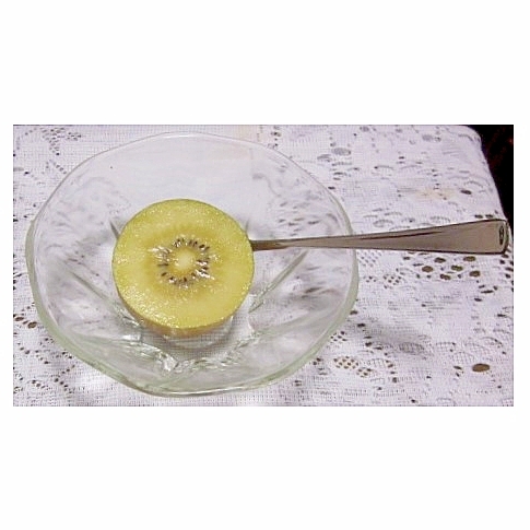 フローズンキウイ（はちみつ柚子風味）