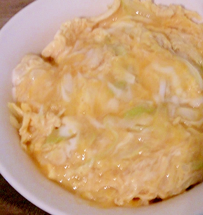 玉子丼　長ネギだけ