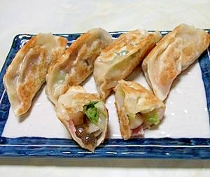 こつぶキューちゃんの白菜ギョウザ