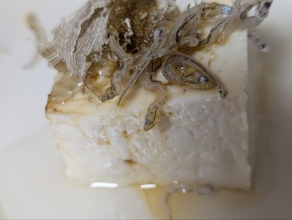 この組み合わせとてもおいしかったです(*´ ˘ `*)ごちそうさまです♪︎