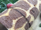 綺麗なロールケーキの切り方 レシピ 作り方 By ニャンコーヒー 楽天レシピ