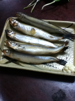 チカの3時間干しwithマヨ