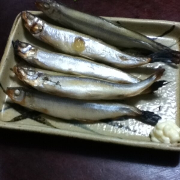 チカの3時間干しwithマヨ レシピ 作り方 By とりあえず乾杯 楽天レシピ チカの3時間干しwithマヨ レシピ 作り方 By とりあえず乾杯 楽天レシピ