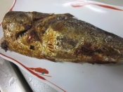 焼魚のコツ 白子がしっとり ニシンの塩焼き レシピ 作り方 By Startrek 楽天レシピ 焼魚のコツ 白子がしっとり ニシンの塩焼き レシピ 作り方 By Startrek 楽天レシピ