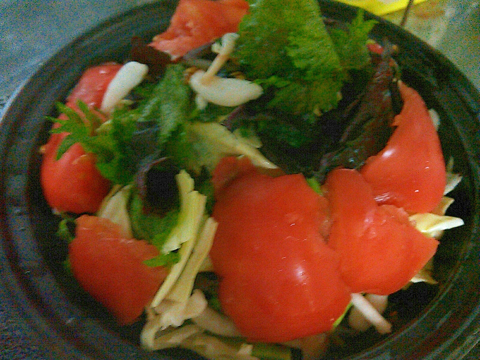 トマト紫蘇キャベツのサラダ