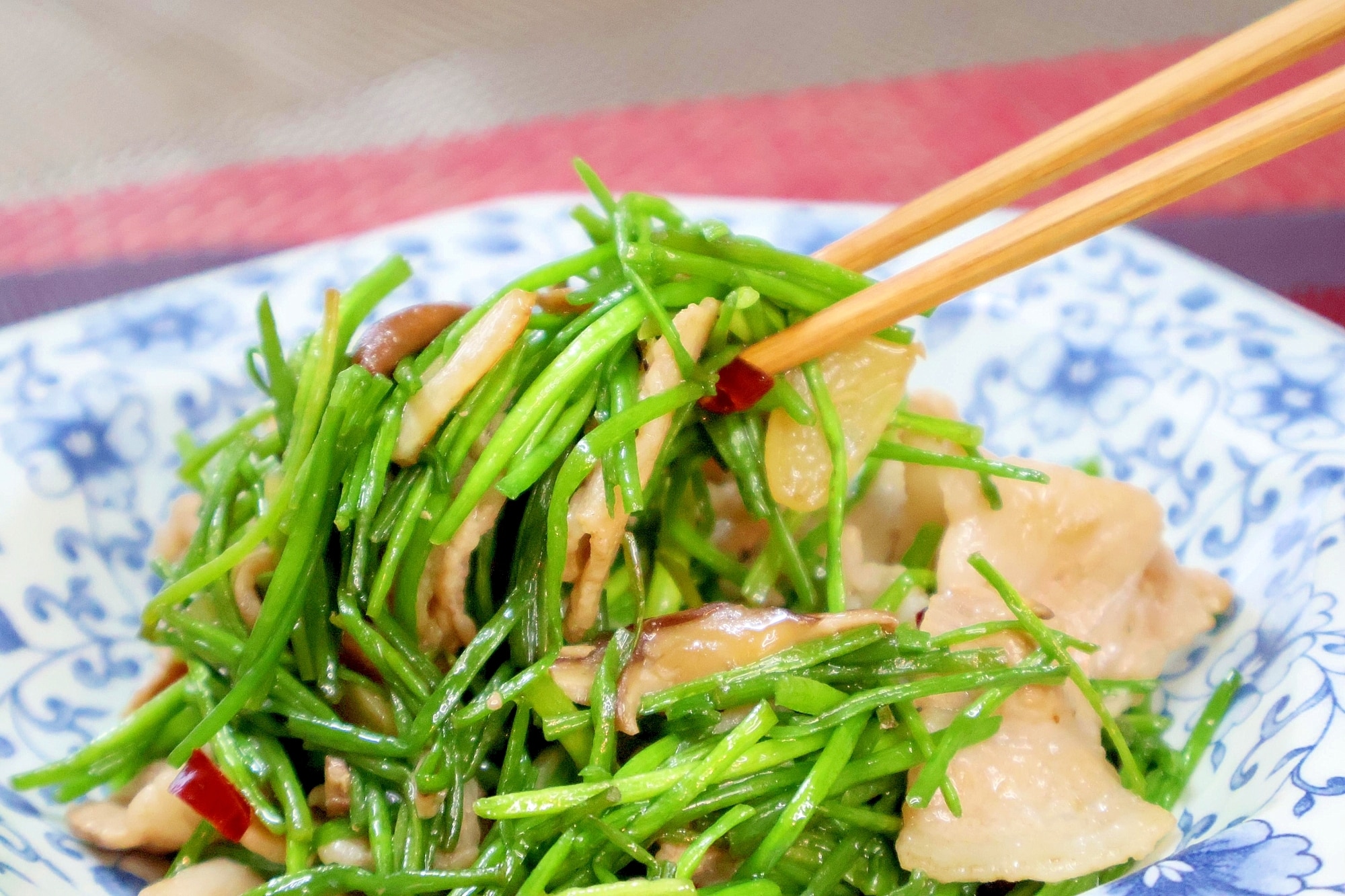 51e5cb9c0f645145879a9e32dd6dad