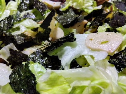 くせになる～韓国のりのグリーンサラダ