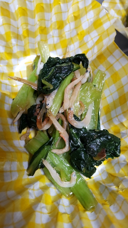 お弁当に入れました～。
小松菜+しらす♡美味しい組み合わせですね！ごちそうさまでした(*´∇｀)