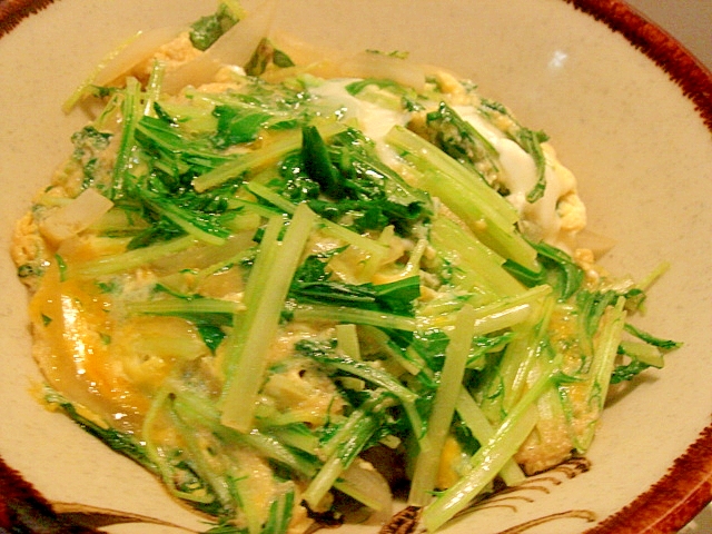 ◆減塩◆新玉ねぎと水菜の卵とじ丼