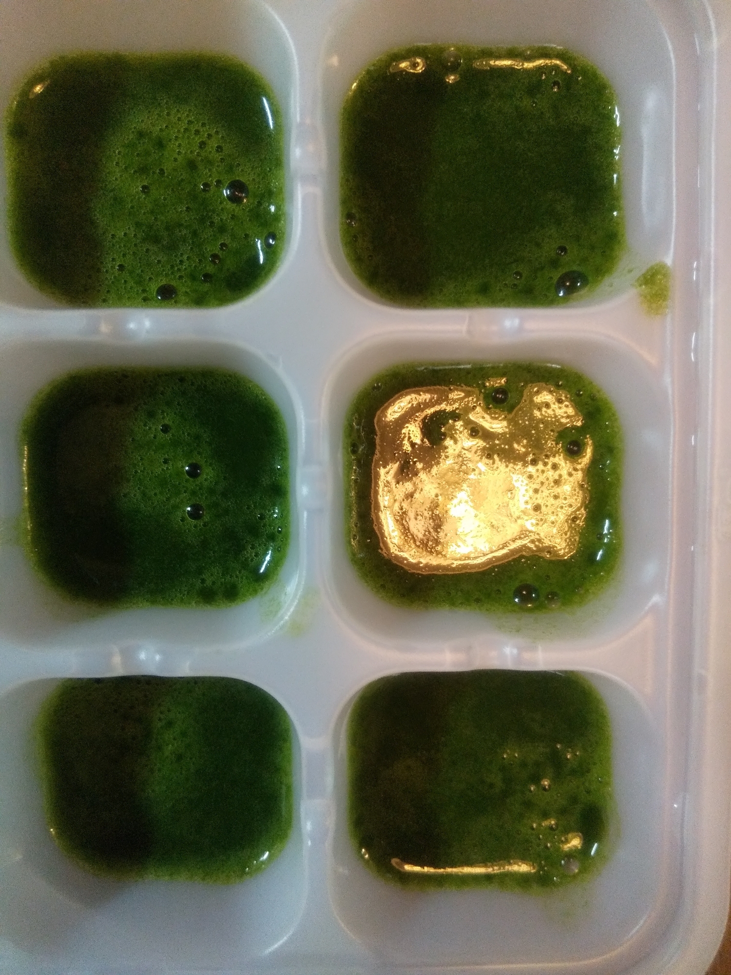 ブレンダーでほうれん草のぺースト 離乳食初期