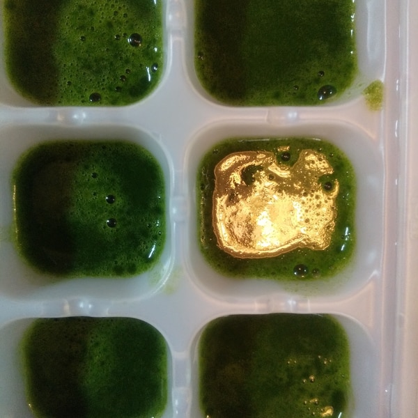 ブレンダーでほうれん草のぺースト 離乳食初期 レシピ 作り方 By えむまま 楽天レシピ ブレンダーでほうれん草のぺースト 離乳食初期 レシピ 作り方 By えむまま 楽天レシピ