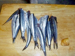 超簡単 片口いわし 小さい鰯の内臓のとり方 レシピ 作り方 By 9 10 楽天レシピ 超簡単 片口いわし 小さい鰯の内臓のとり方 レシピ 作り方 By 9 10 楽天レシピ