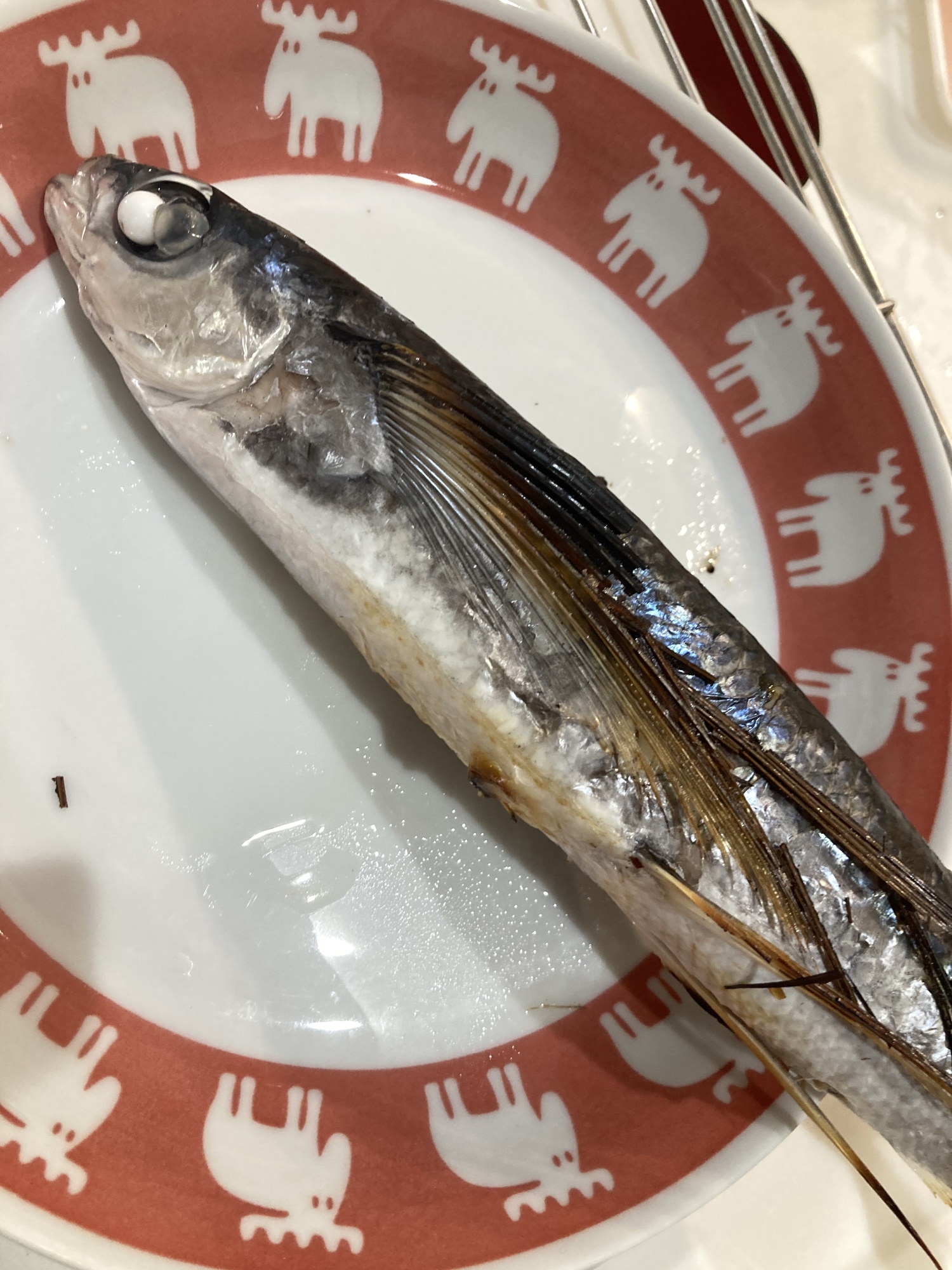 とびうおの塩焼き そのまま レシピ 作り方 By へんてこへんてこママ 楽天レシピ とびうおの塩焼き そのまま レシピ 作り方 By へんてこへんてこママ 楽天レシピ