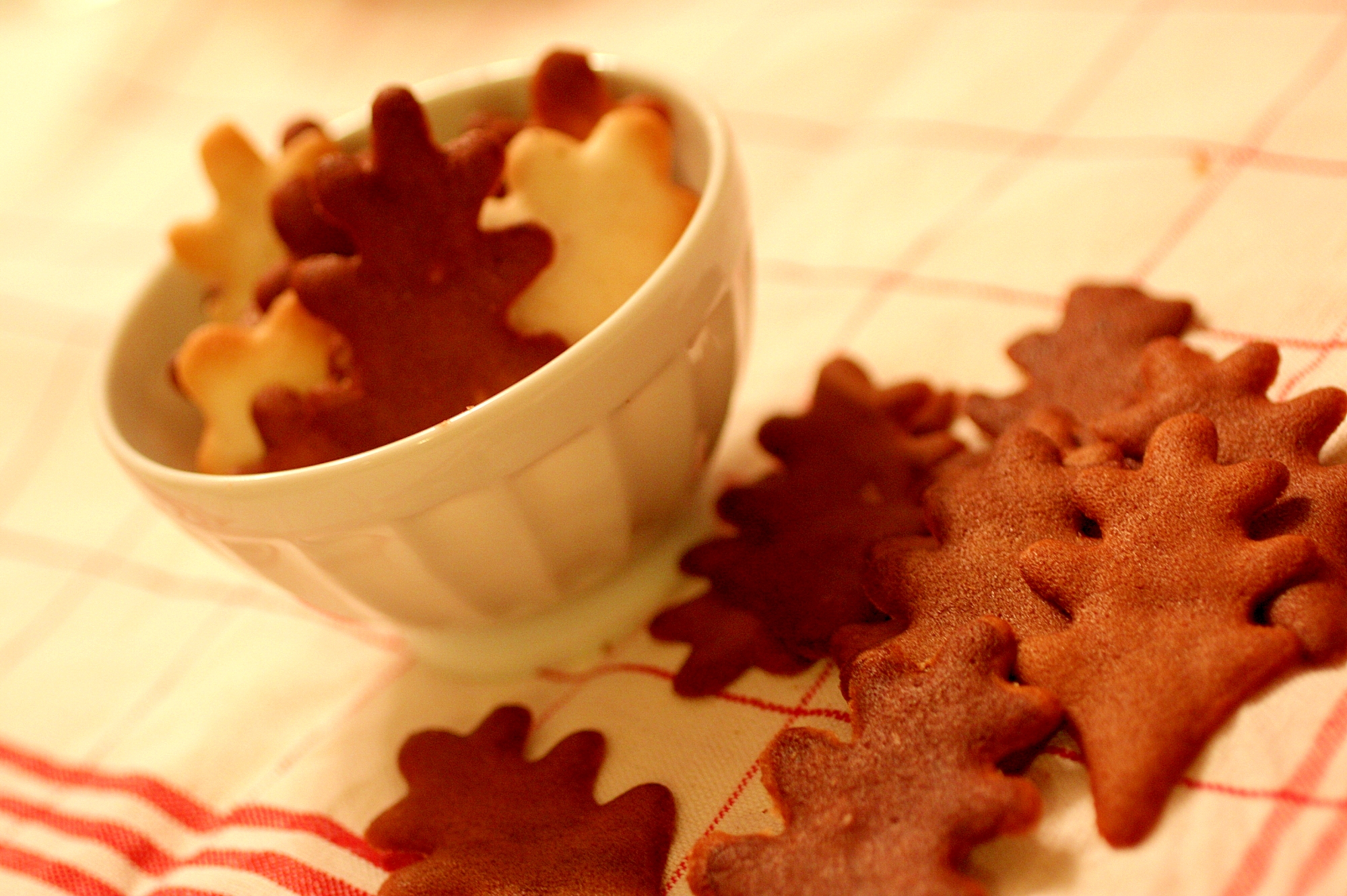簡単！友チョコと❤可愛い葉っぱのチュイルクッキー