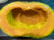 美味しい秘訣はマヨ かぼちゃの肉詰めあんかけ レシピ 作り方 By まめもにお 楽天レシピ