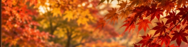 京桜
