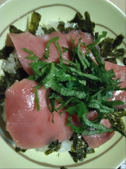 絶品！本マグロ丼